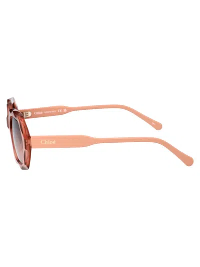 Chloé Ch0227s Sunglasses