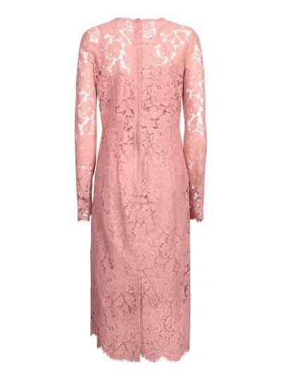Dolce & Gabbana Pink Lace Tube Longuette Dress In Pink