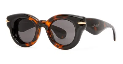 Loewe Inflated Round - Dark Havana Sunglasses