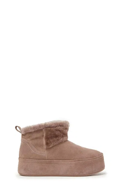 Paloma Barceló Booties In Nude