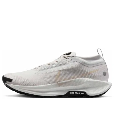 Nike Pegasus Trail 5 Gore-tex 'vast Grey Sanddrift'