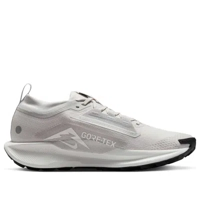 Nike Pegasus Trail 5 Gore-tex 'vast Grey Sanddrift'