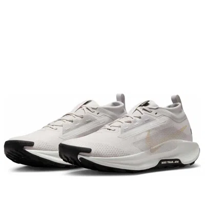 Nike Pegasus Trail 5 Gore-tex 'vast Grey Sanddrift'