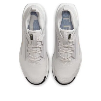 Nike Pegasus Trail 5 Gore-tex 'vast Grey Sanddrift'