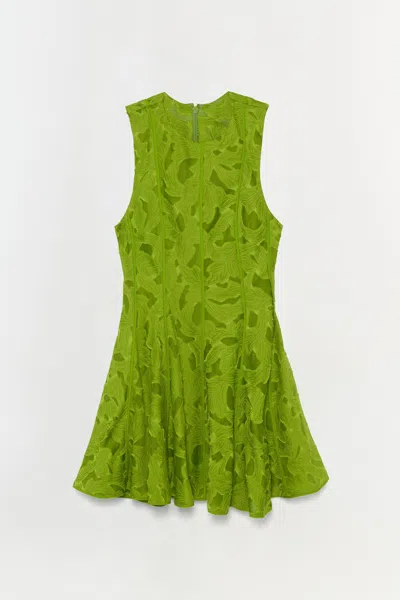 Simkhai Women's Sylvia Jacquard Fit & Flare Mini Dress In Green