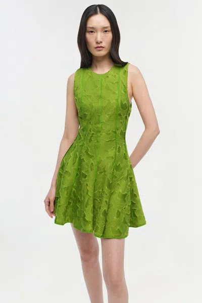 Simkhai Women's Sylvia Jacquard Fit & Flare Mini Dress In Green