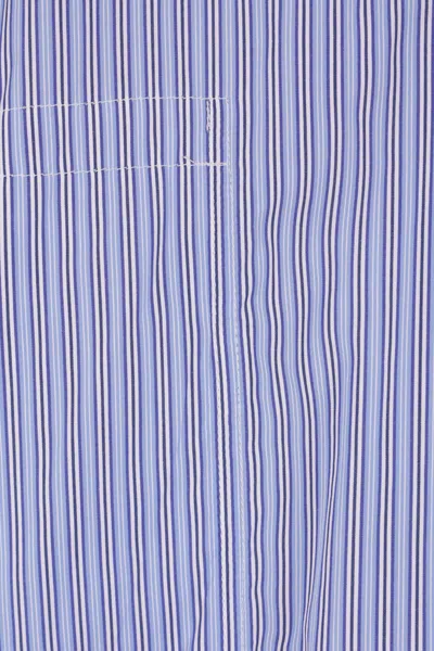 Junya Watanabe Striped Long-sleeved Shirt In Blue