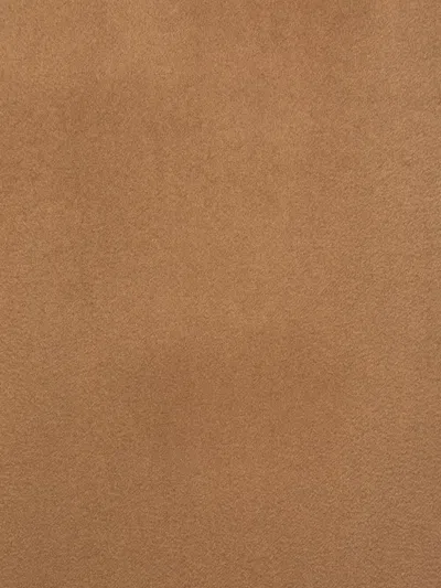 Max Mara Monogram-embroidered Cashmere Stoles Accessories In Brown