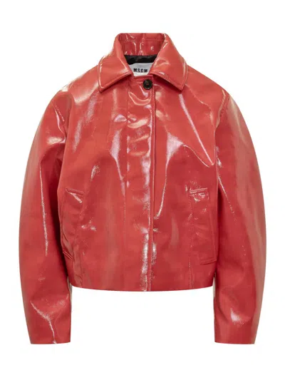 Msgm Cropped Jacket Scarlet In Red