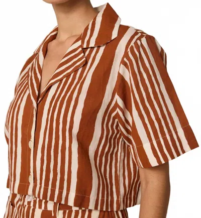 Cleobella Mizuki Blouse In Vecchio Stripe In Brown