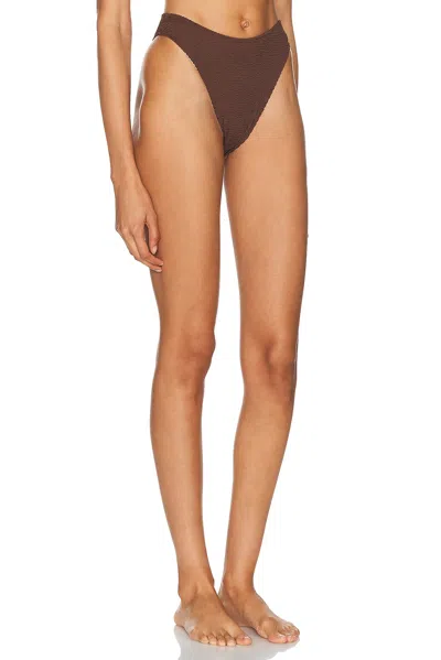 Lpa Cecilia Bottom