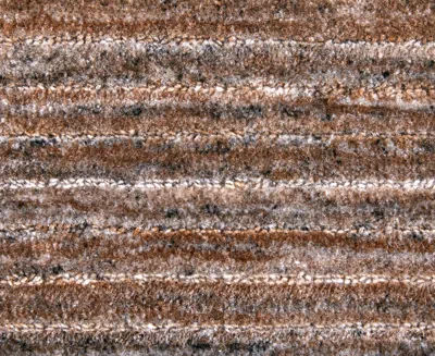 Feizy Lakewood 8a23f 8'x10' Area Rug