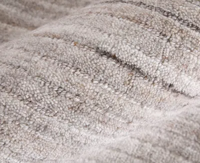 Feizy Lakewood 8a23f 2'x3' Area Rug