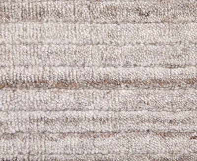 Feizy Lakewood 8a23f 2'x3' Area Rug