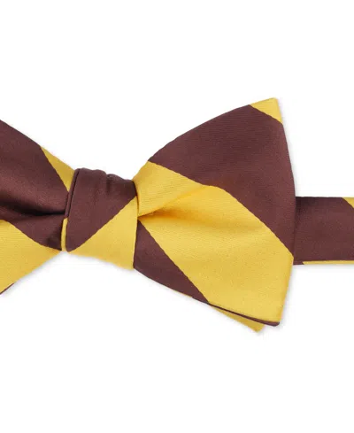 Tayion Collection Men's Brown Gold Stripe Bow Tie