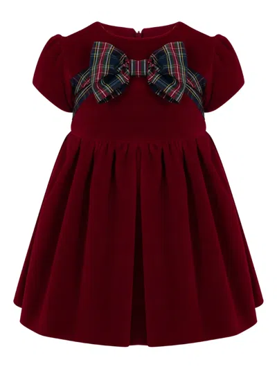 Lapin House Bow-embellished Velvet Dress In Burgundy
