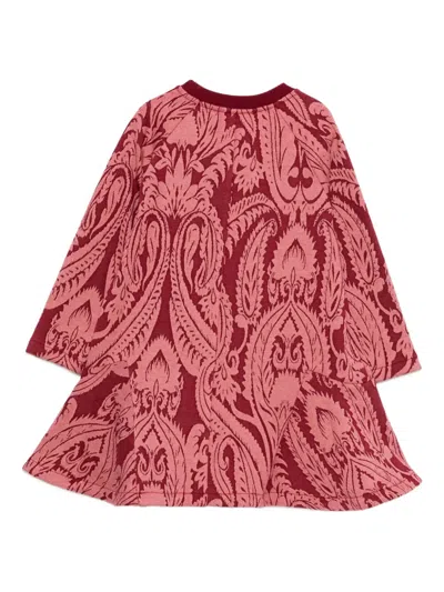 Etro Paisley-print Flared Mini Dress In Brown
