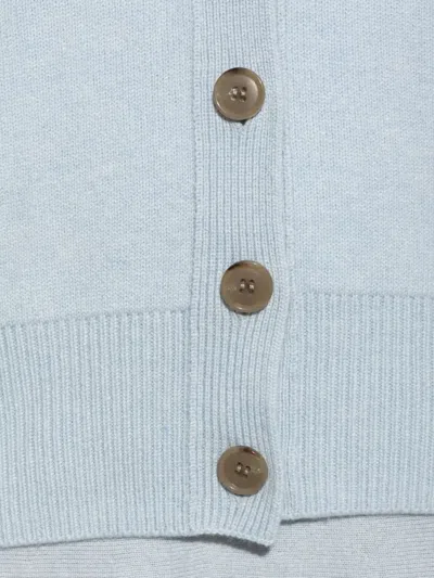 Lisa Yang Ribbed Button Cardigan In Blue