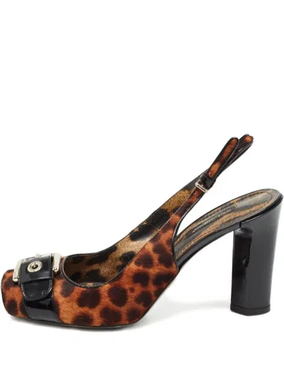 Pre-owned Dolce & Gabbana 2023 95mm Leopard-print Pumps In Brown