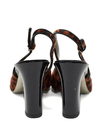 Pre-owned Dolce & Gabbana 2023 95mm Leopard-print Pumps In Brown