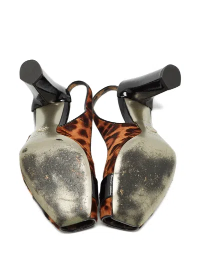 Pre-owned Dolce & Gabbana 2023 95mm Leopard-print Pumps In Brown