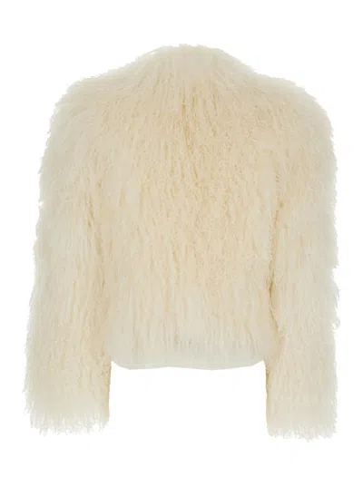 Plain Tibet Fur Short Jacket In Neutral