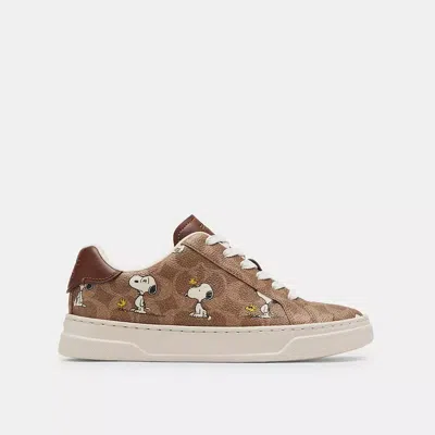 Coach X Peanuts High Line Sneaker In Signature Canvas With Snoopy Print