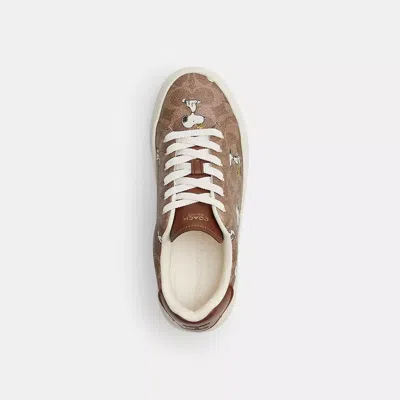 Coach X Peanuts High Line Sneaker In Signature Canvas With Snoopy Print