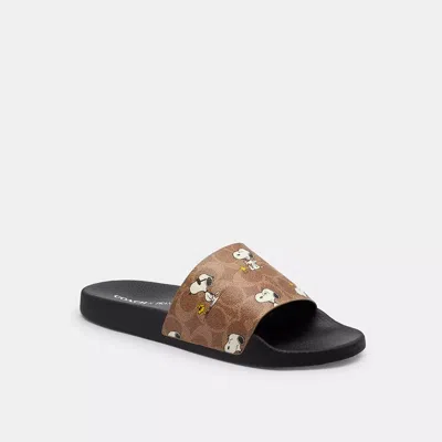 Coach X Peanuts Udele Sport Slide In Signature Canvas With Snoopy Print
