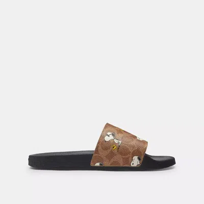 Coach X Peanuts Udele Sport Slide In Signature Canvas With Snoopy Print
