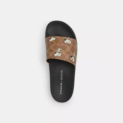 Coach X Peanuts Udele Sport Slide In Signature Canvas With Snoopy Print
