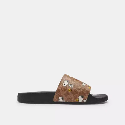 Coach X Peanuts Pool Slide In Signature Canvas With Snoopy Print