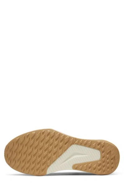 Allbirds Tree Glider Sneaker