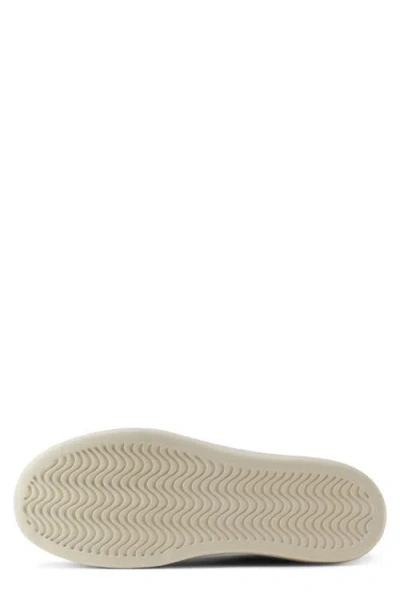 Allbirds Canvas Piper 2 Sneaker