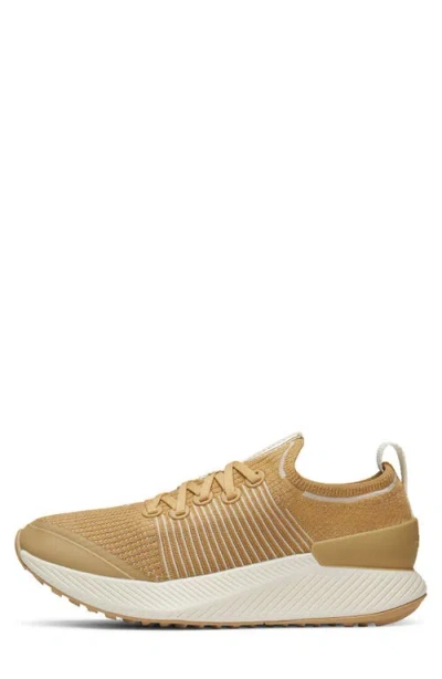 Allbirds Tree Glider Sneaker