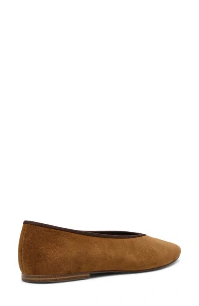 Steve Madden Pipa Ballet Flat In Brown