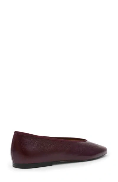 Steve Madden Pipa Ballet Flat
