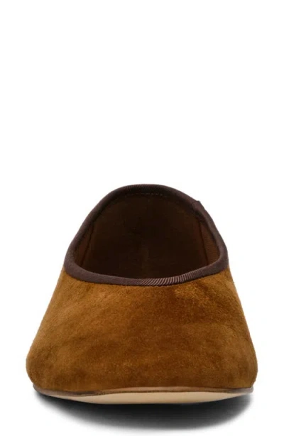 Steve Madden Pipa Ballet Flat In Brown