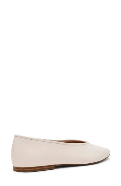 Steve Madden Pipa Ballet Flat