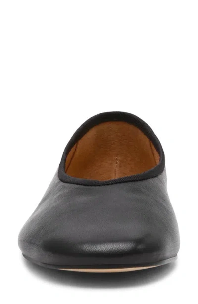 Steve Madden Pipa Ballet Flat