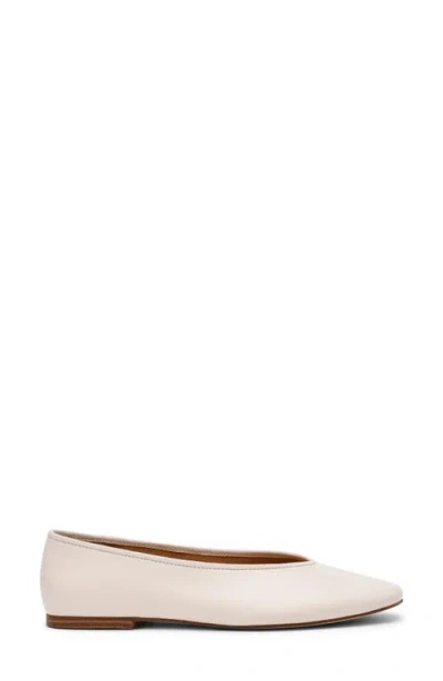 Steve Madden Pipa Ballet Flat