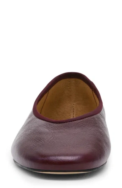 Steve Madden Pipa Ballet Flat