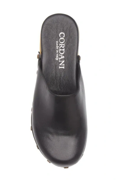 Cordani Wilka Platform Mule
