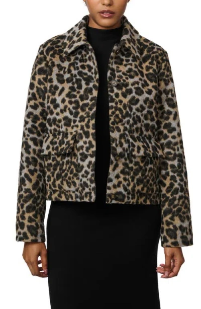 Bernardo Leopard Print Crop Jacket In Black