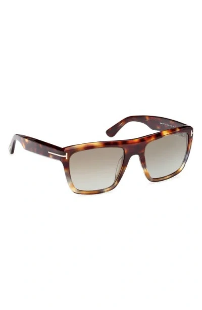 Tom Ford Alberto 55mm Gradient Square Sunglasses