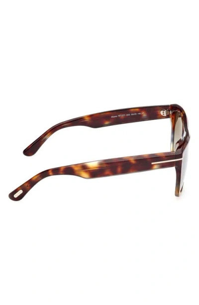 Tom Ford Alberto 55mm Gradient Square Sunglasses