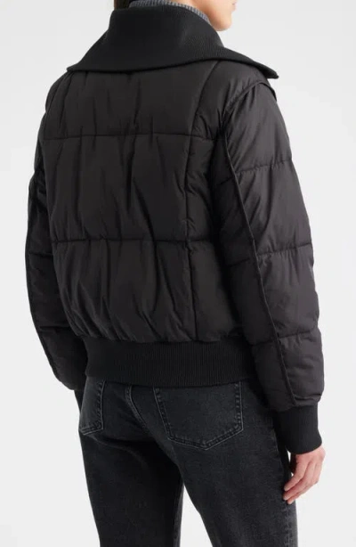 Bernardo Knit Collar Crop Puffer Jacket In Black
