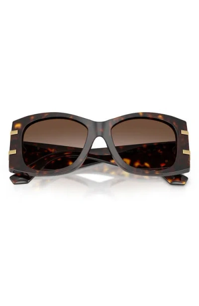Dolce & Gabbana Dolce&gabbana 54mm Gradient Butterfly Sunglasses