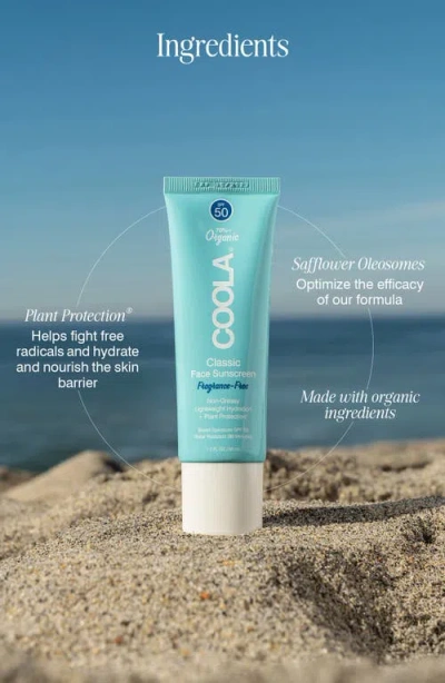 Coola ® Suncare Fragrance Free Classic Face Organic Sunscreen Lotion Spf 50