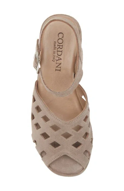 Cordani Jaymie Ankle Strap Peep Toe Platform Wedge Sandal